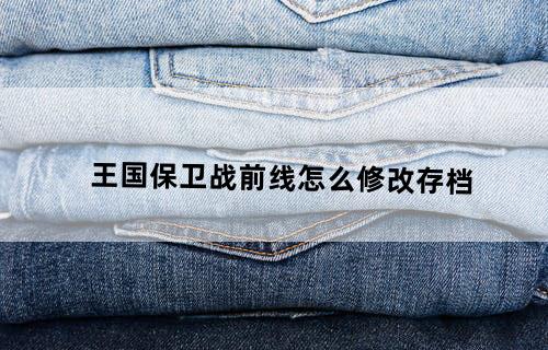 王国保卫战前线怎么修改存档