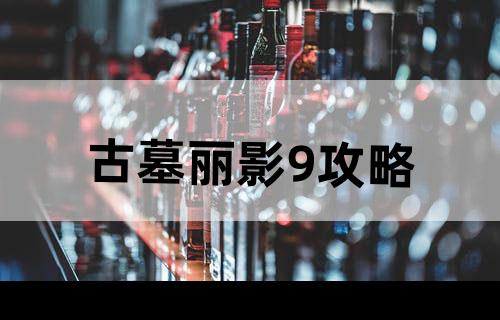 古墓丽影9攻略
