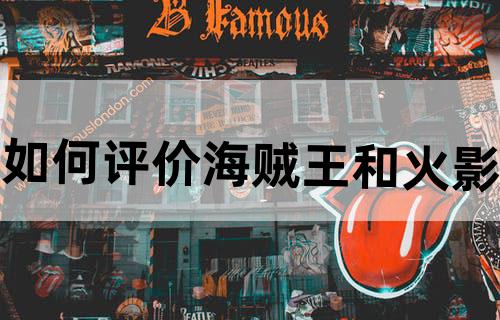 如何评价海贼王和火影