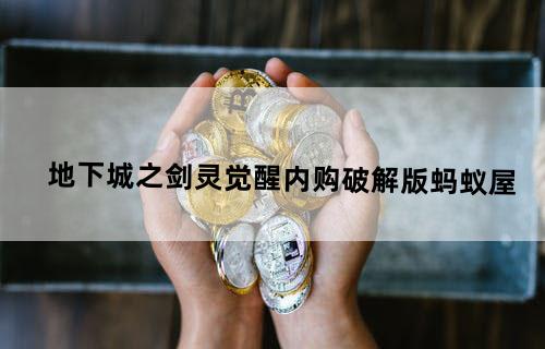 地下城之剑灵觉醒内购破解版(蚂蚁屋)