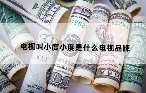 电视叫小度小度是什么电视品牌？
