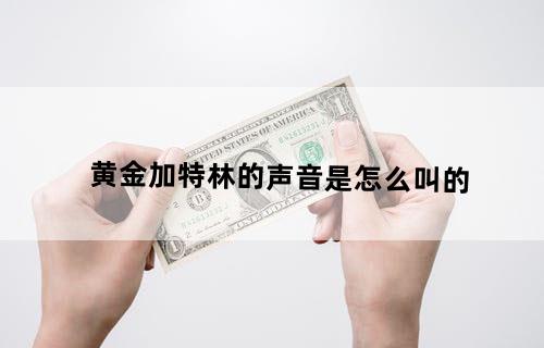 黄金加特林的声音是怎么叫的