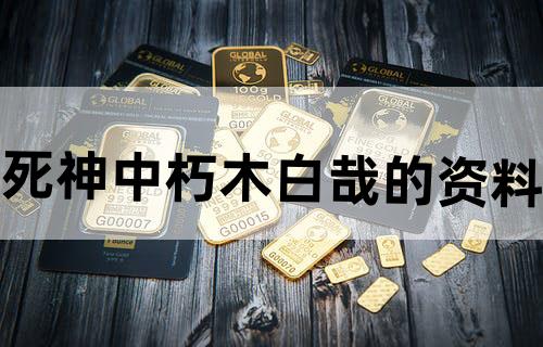 死神中朽木白哉的资料