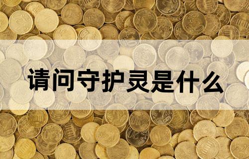 请问守护灵是什么