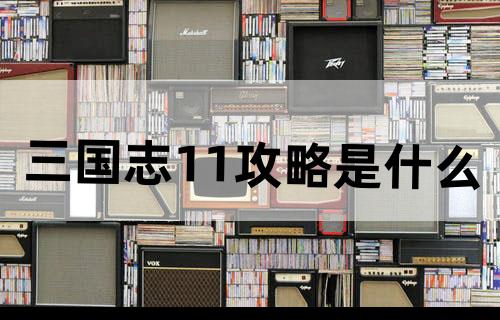 三国志11攻略是什么