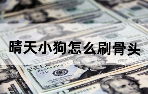 晴天小狗怎么刷骨头?