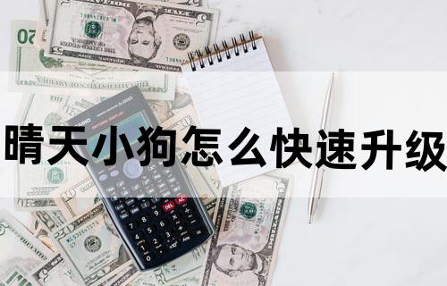晴天小狗怎么快速升级?