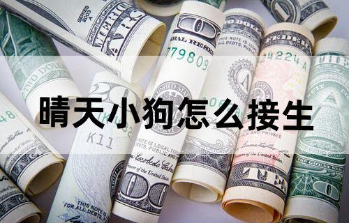 晴天小狗怎么接生?