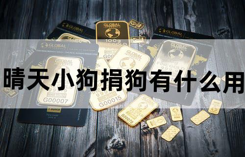 晴天小狗捐狗有什么用