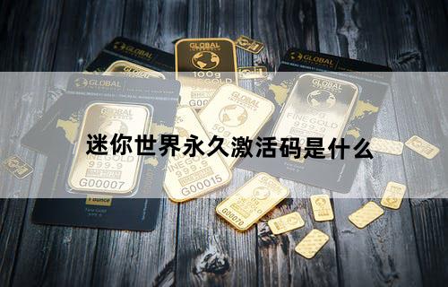 迷你世界永久激活码是什么？