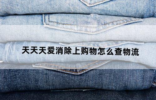 天天天爱消除上购物怎么查物流