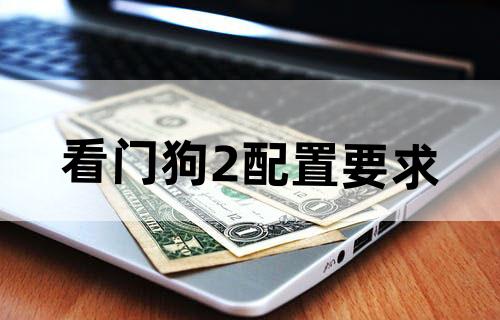看门狗2配置要求
