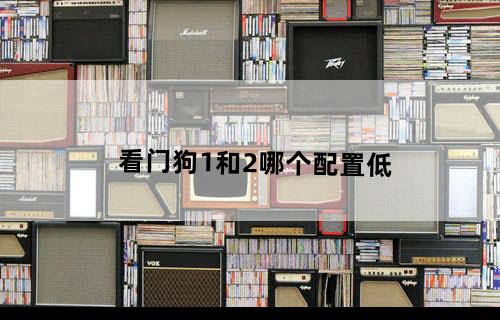 看门狗1和2哪个配置低