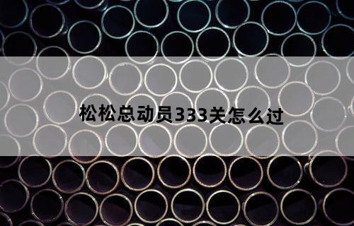 松松总动员333关怎么过