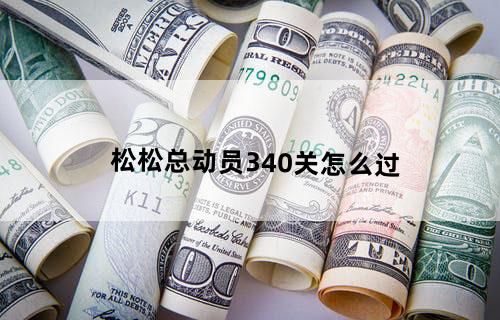 松松总动员340关怎么过