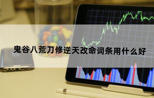 鬼谷八荒刀修逆天改命词条用什么好