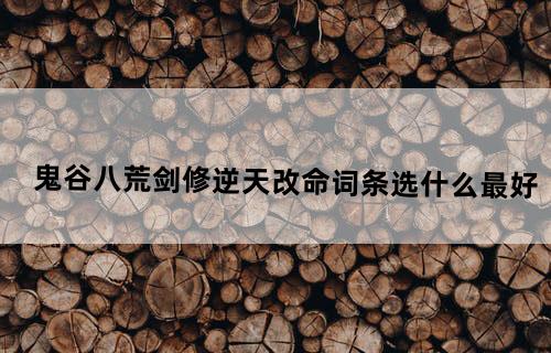 鬼谷八荒剑修逆天改命词条选什么最好