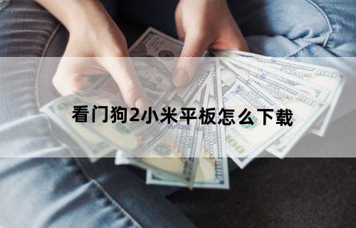 看门狗2小米平板怎么下载