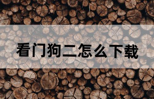 看门狗二怎么下载