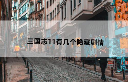 三国志11有几个隐藏剧情
