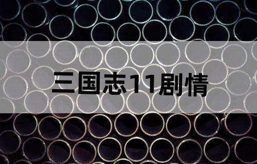 三国志11剧情