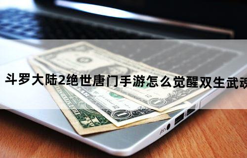 斗罗大陆2绝世唐门手游怎么觉醒双生武魂