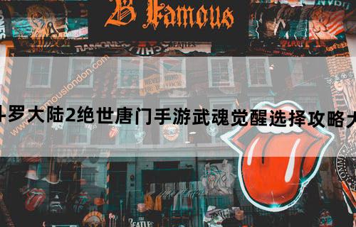 斗罗大陆2绝世唐门手游武魂觉醒选择攻略大全