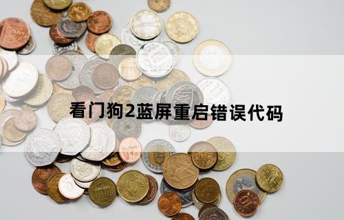 看门狗2蓝屏重启错误代码