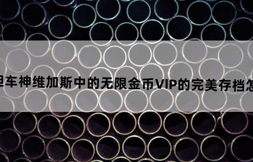 《孤胆车神维加斯》中的无限金币VIP的完美存档怎么做？