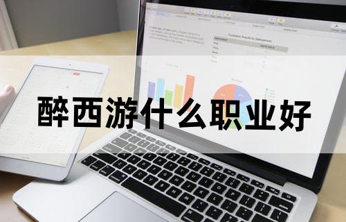 醉西游什么职业好