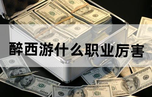 醉西游什么职业厉害