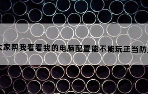 大家帮我看看我的电脑配置能不能玩正当防卫2
