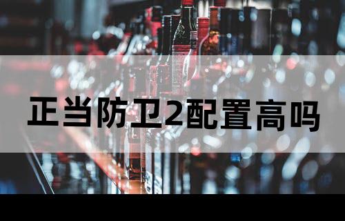 正当防卫2配置高吗