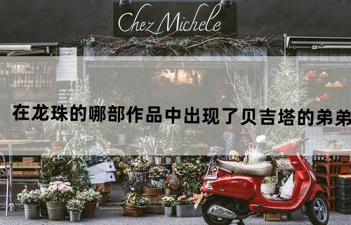 在龙珠的哪部作品中出现了贝吉塔的弟弟？
