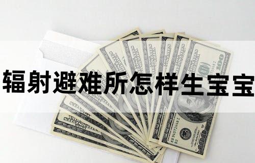 辐射避难所怎样生宝宝