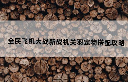 全民飞机大战新战机关羽宠物搭配攻略