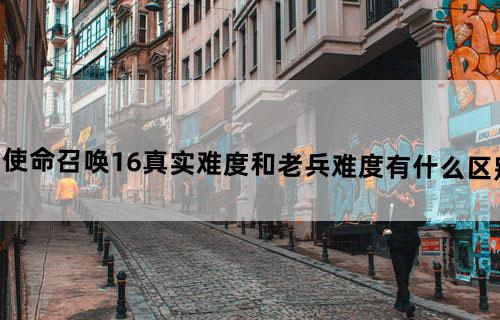 使命召唤16真实难度和老兵难度有什么区别