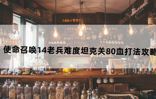 《使命召唤14》老兵难度坦克关80血打法攻略