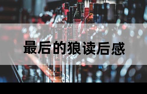 最后的狼读后感