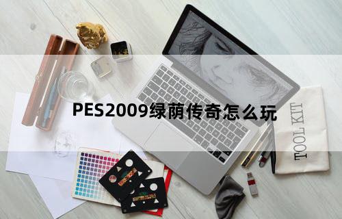 PES2009绿荫传奇怎么玩？