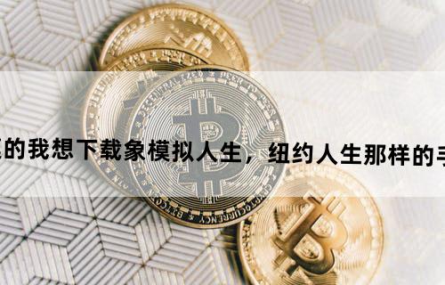 我的手机是诺基亚5800XM触摸的！我想下载象模拟人生，纽约人生那样的手机游戏，要中文的游戏。有好游戏推