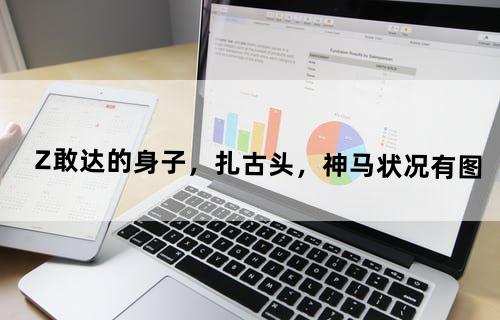 Z敢达的身子，扎古头，神马状况？有图