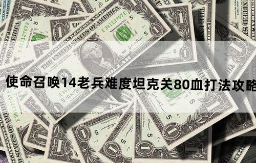 《使命召唤14》老兵难度坦克关80血打法攻略