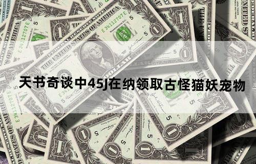 天书奇谈中45J在纳领取古怪猫妖宠物