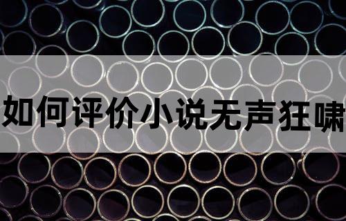 如何评价小说《无声狂啸》