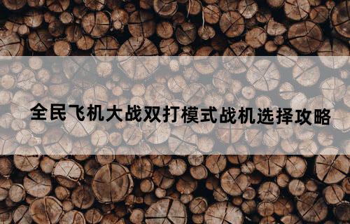 全民飞机大战双打模式战机选择攻略