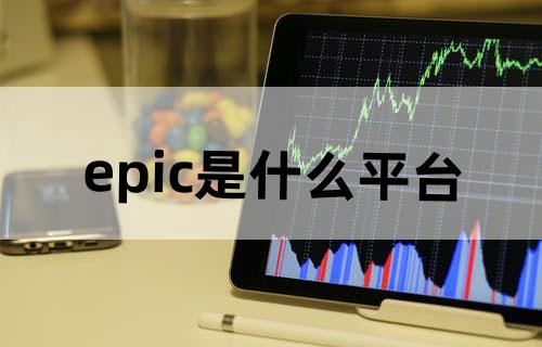 epic是什么平台
