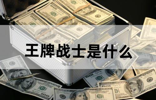 王牌战士是什么