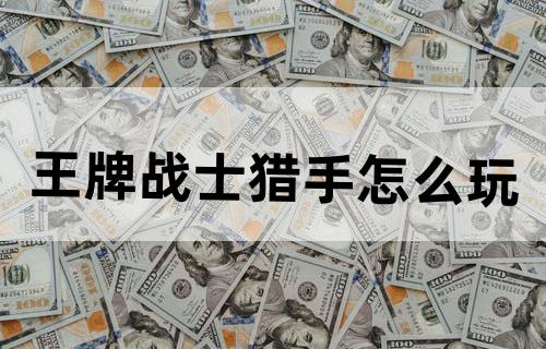 王牌战士猎手怎么玩