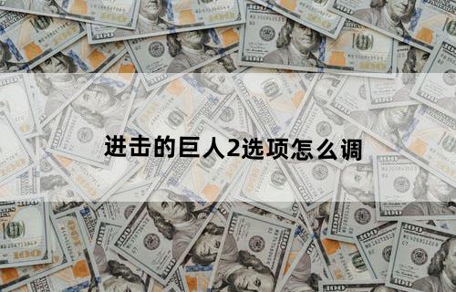 进击的巨人2选项怎么调